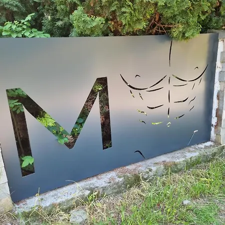 Maxx Bacau